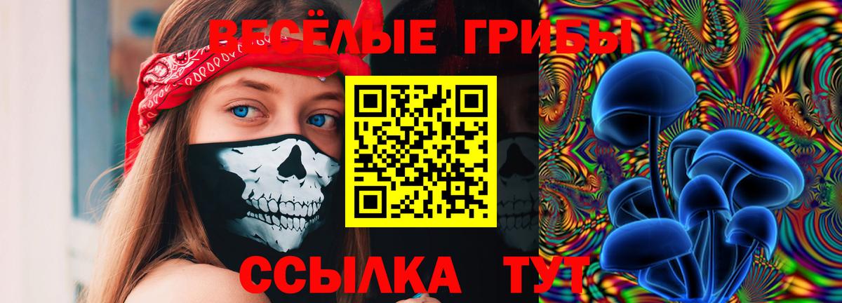 Галлюциногенные грибы MAGIC MUSHROOMS Бийск