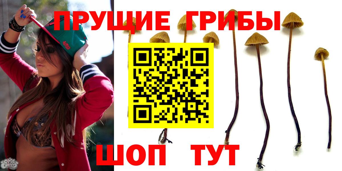 Галлюциногенные грибы Magic Shrooms  Псилоцибиновые грибы GOLDEN TEACHER  Вход с VPN  Бийск 